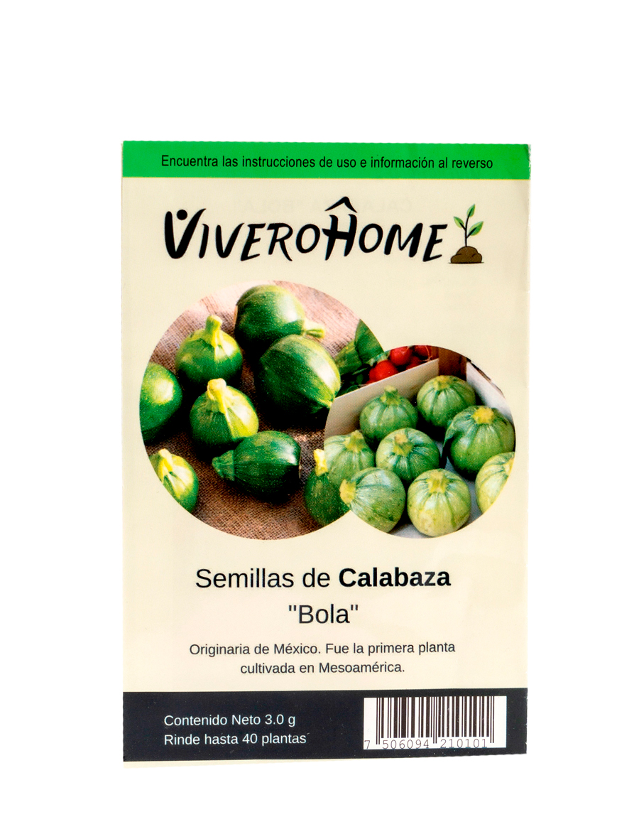 Semillas de Calabaza Bola