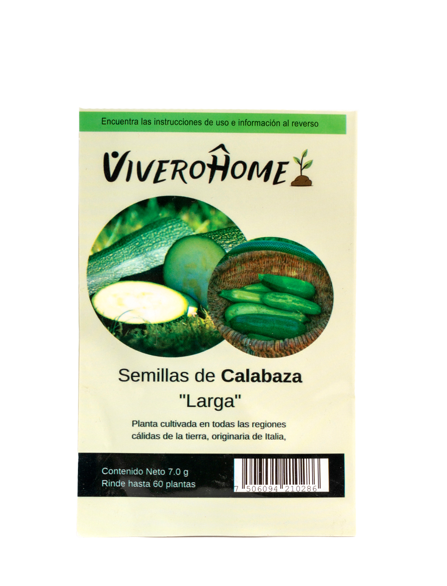 Semillas de Calabaza Larga