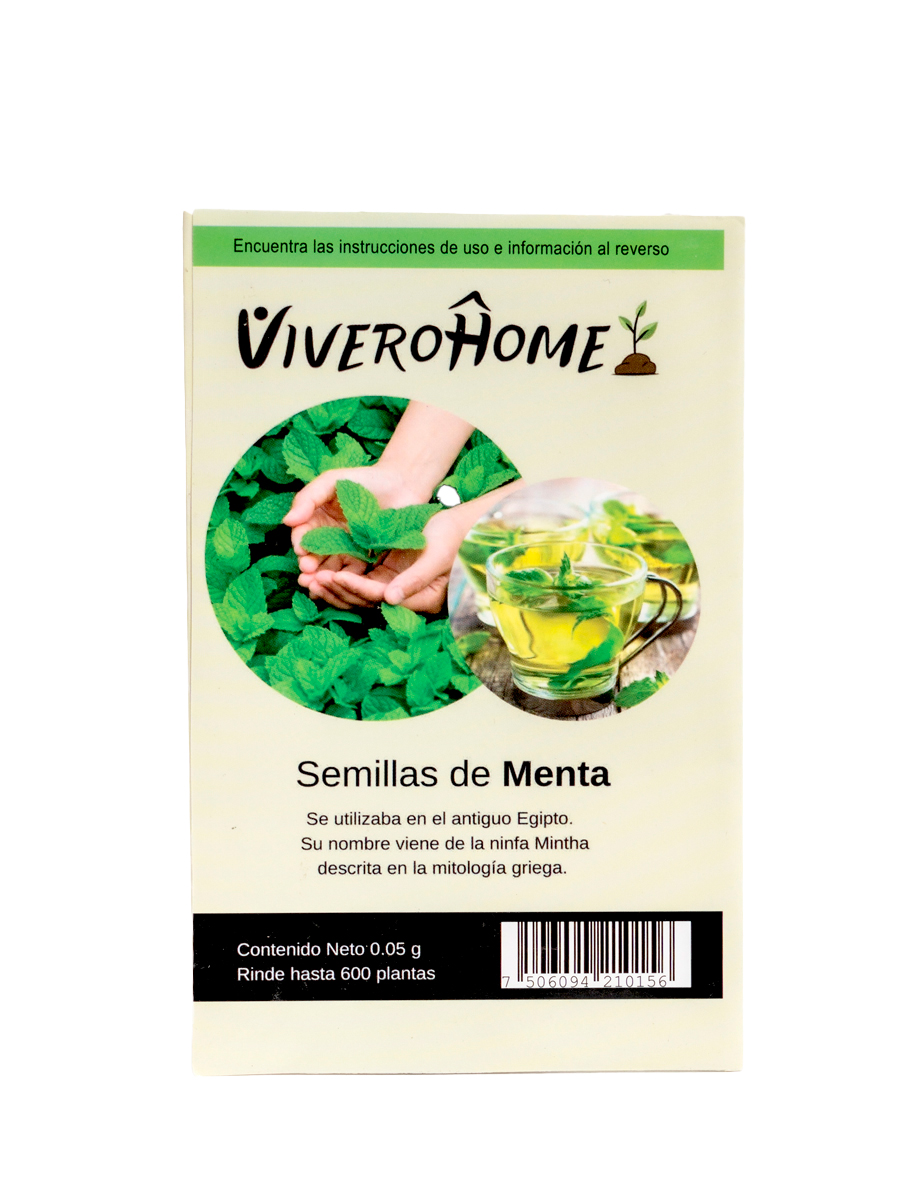 Semillas de Menta